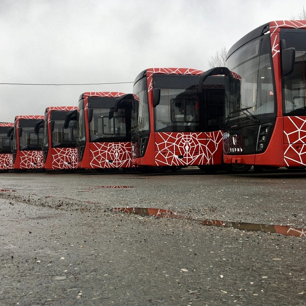 Новые автобусы НЕФАЗ для Перми